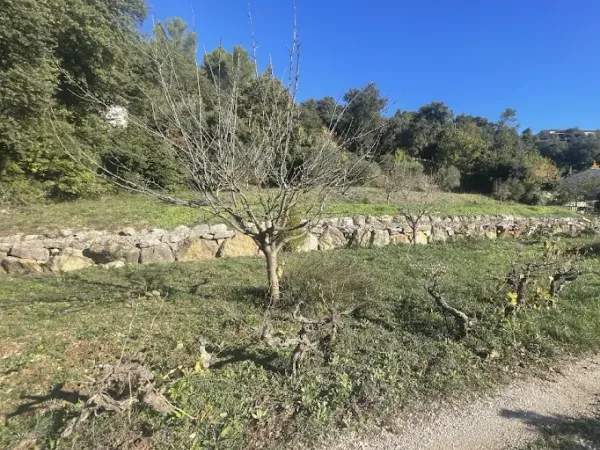 Terrain 1280 m²