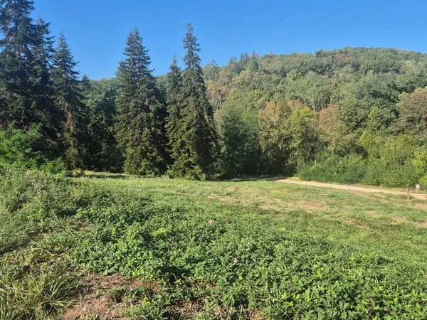 Terrain 985 m²