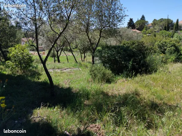 Terrain constructible 1500m2 neffies 34