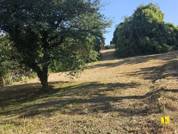Terrain 892 m²