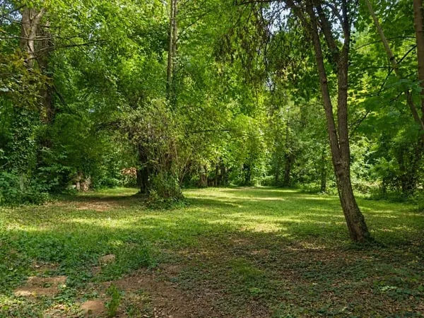 Terrain 4050 m²