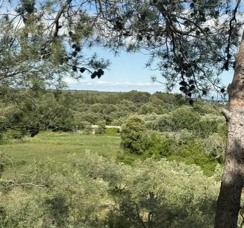 Terrain à bâtir 731 m²—Très belle vue - viabilisé - POULX libre constructeur