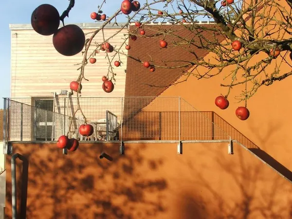 Appartement de 55m2 à louer sur Senlisse