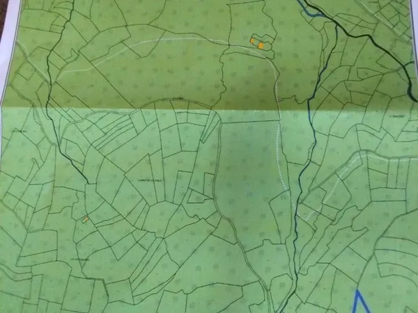 Terrain rare