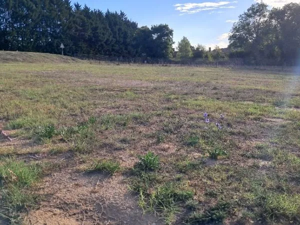 Terrain 652 m²