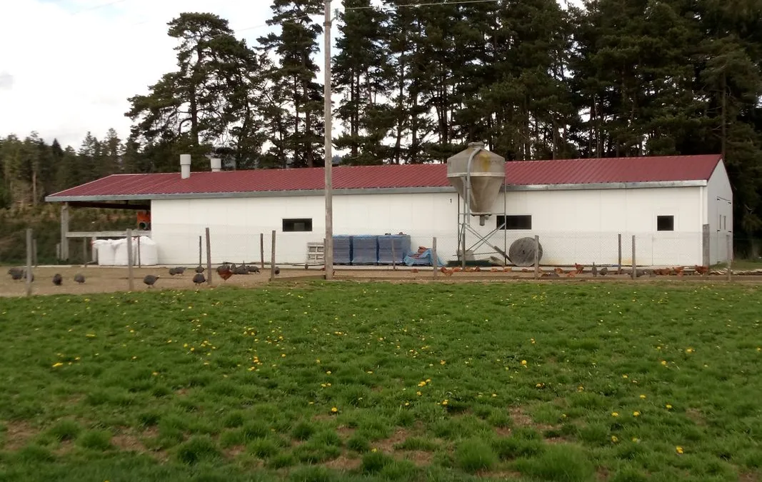 Photo 2
