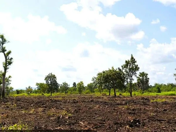 Location terrains