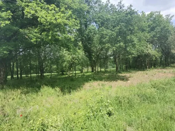 Terrain 3700 m²