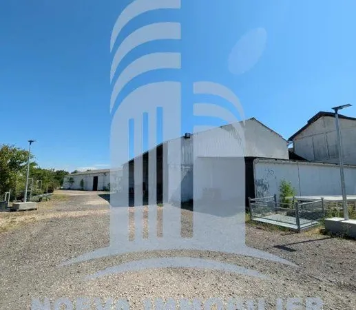 Local 1250 m² Maxéville