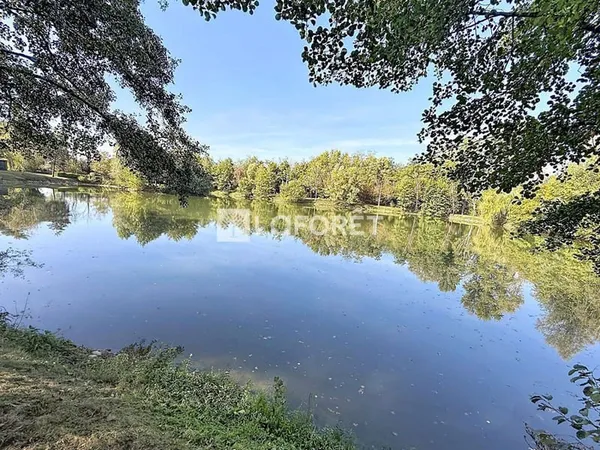 Terrain 19995 m²