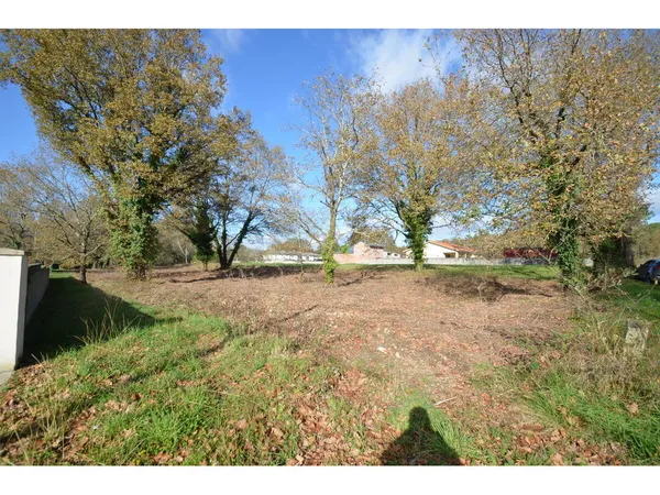 Terrain à bâtir Vente Porchères  3300m² 43920€