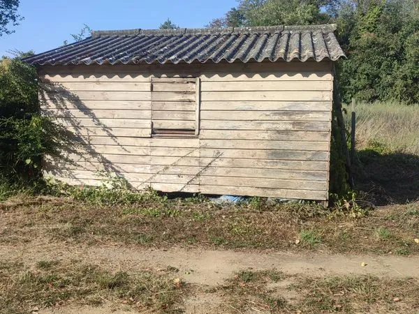 Vente terrain de loisir av ruine en bois bord de Garonne