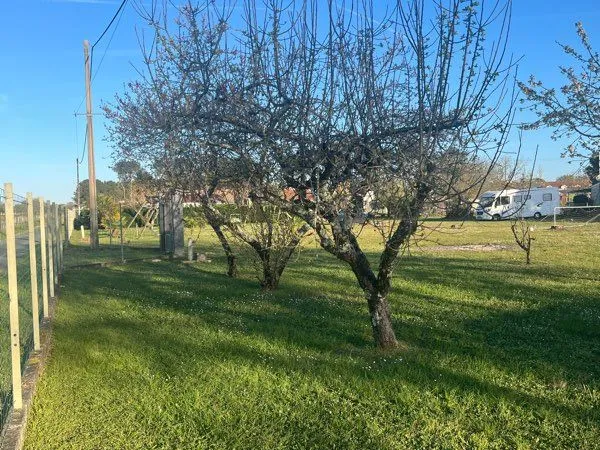 Terrain plat de 900 m² coin tranquille eau, électricité en bordure de Terrain