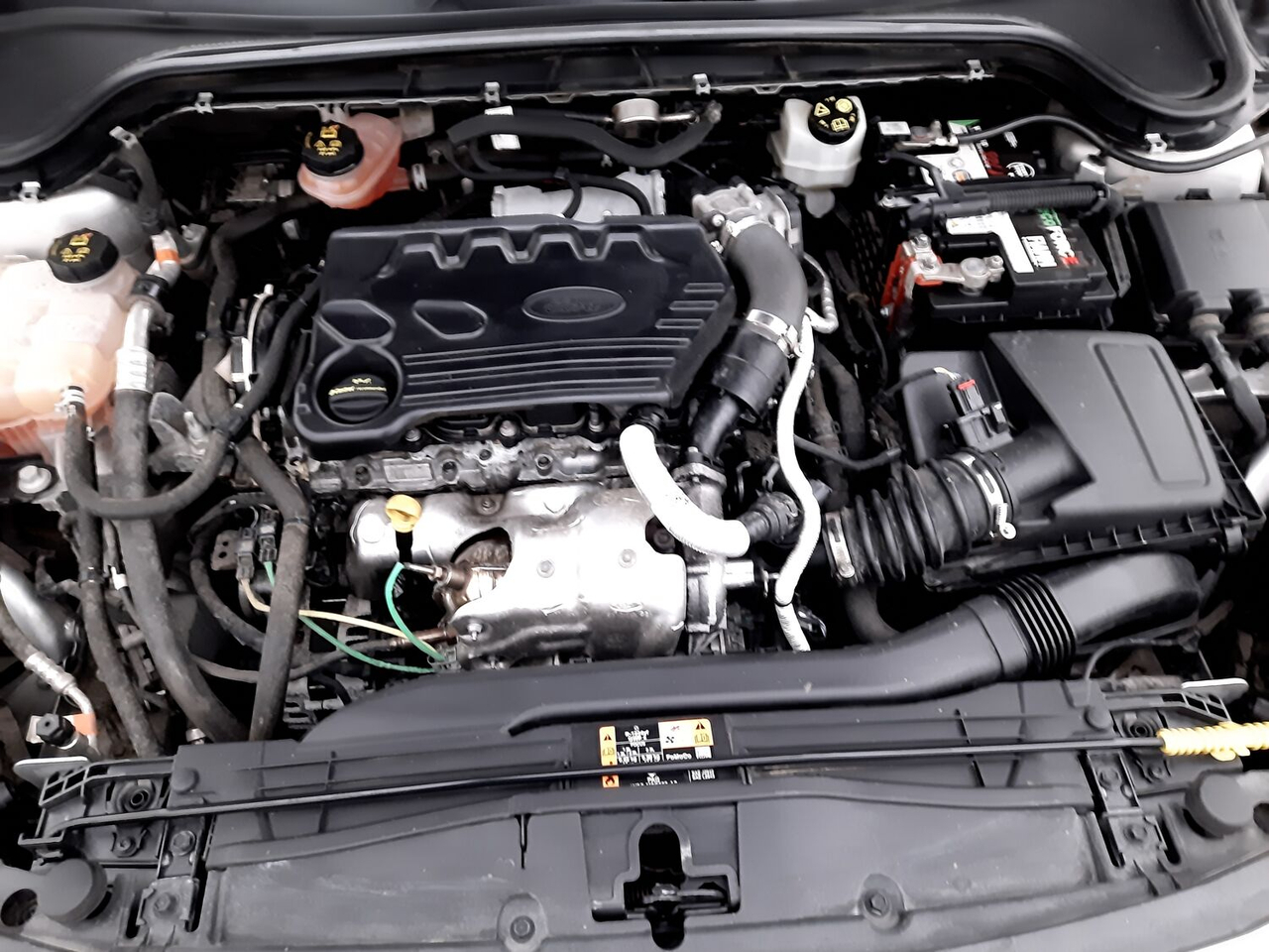 Ford Focus — photo 17