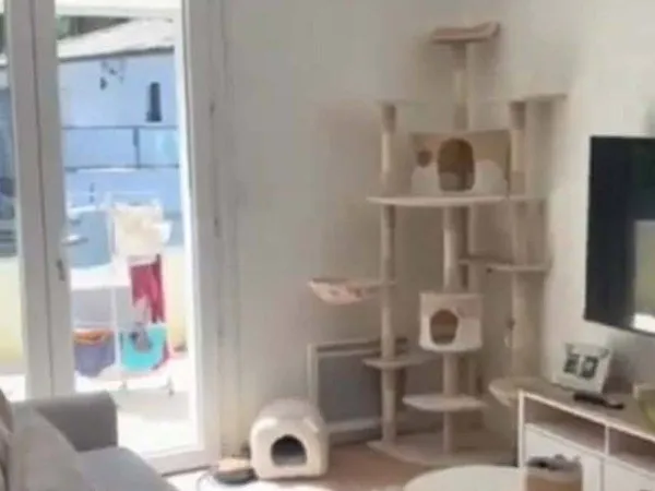 Appartement 13 m²