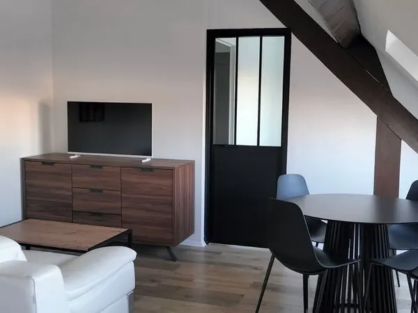 T2 meuble 30 m2 olivet