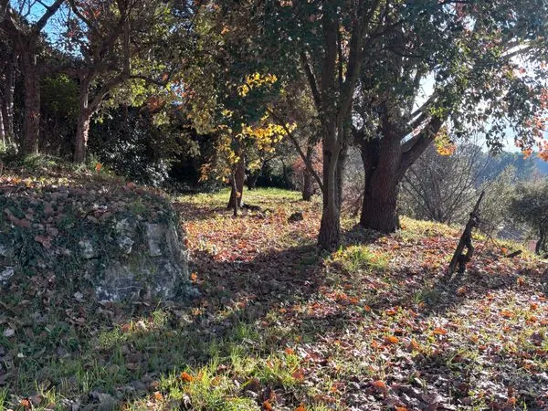 🏡 terrain constructible à vendre - varages (83)