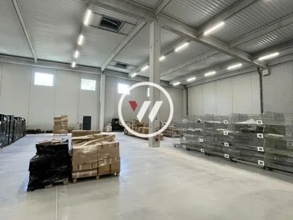 Local d'activité 1 300 m²