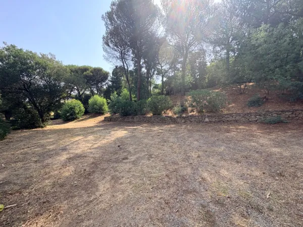 Terrain 1540 m²