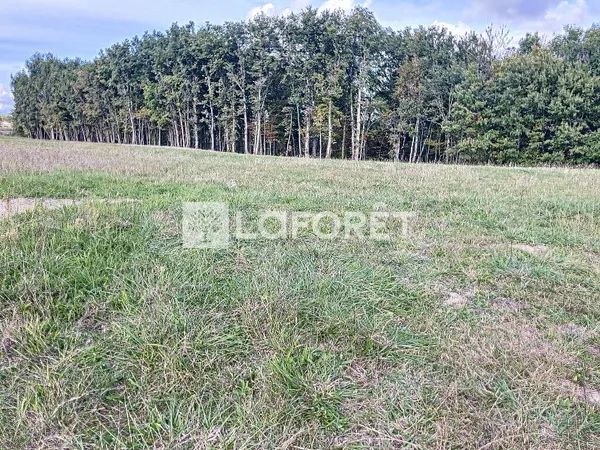 Terrain secteur Monclar de QUercy de 800 m2 environ !