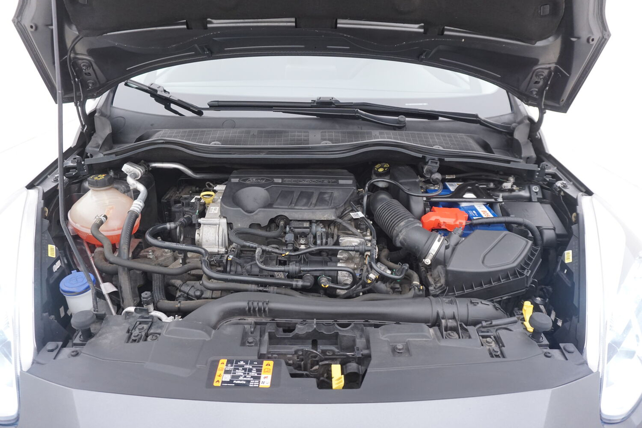 Ford Fiesta — photo 16