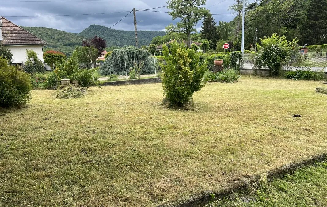 Photo 6
