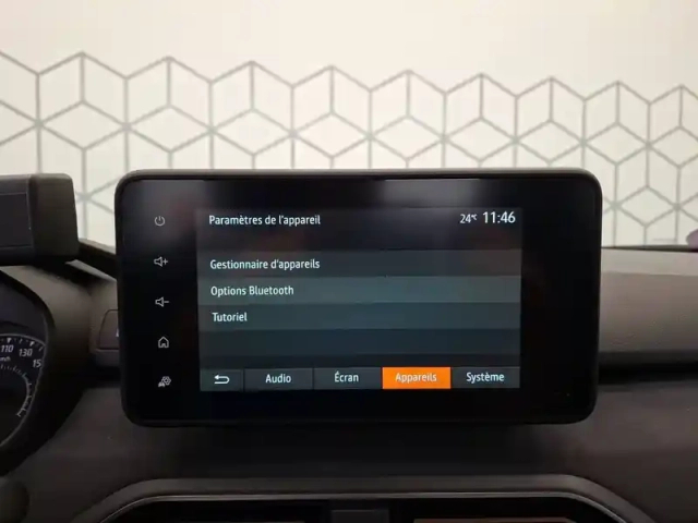 Dacia Sandero eco-g 100 — photo 19