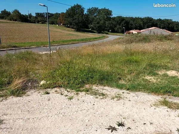Terrain 11 863 m² Mauvezin