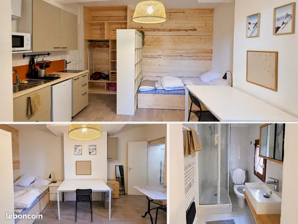 Studio meublé rénové, 22 m², hyper-centre Grenoble
