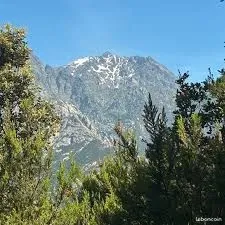 Verger et terrains à louer pour cultures