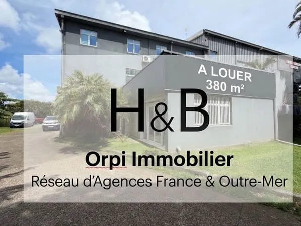Local professionnel 380 m²