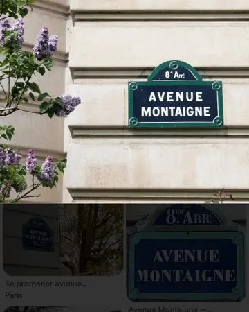 Magnifique appartement haussmanien ,triangle montaigne.en habitation ou professionnel