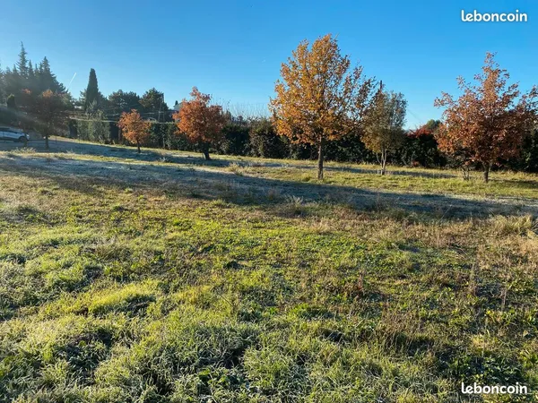 Terrain constructible