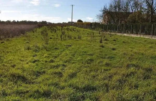 Terrain 1 590 m² à vendre à Soizy-Aux-Bois (51120)