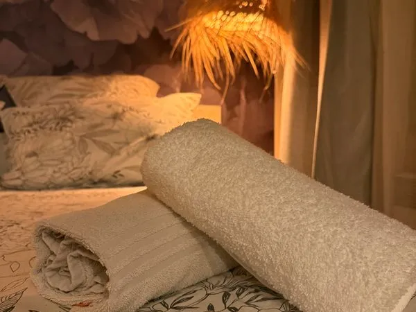 Location appartement meublé