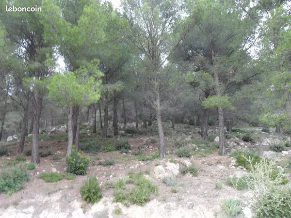 TERRAIN de 43816 M2