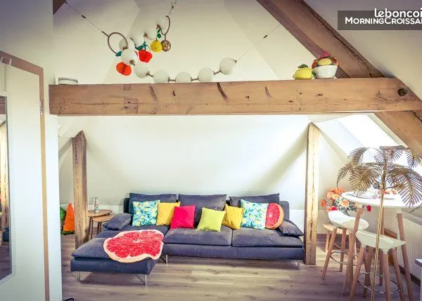 Loft 1 pièce 30 m²