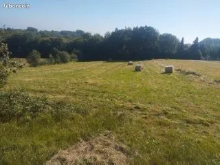 Terrain Lasserre de Cazaux