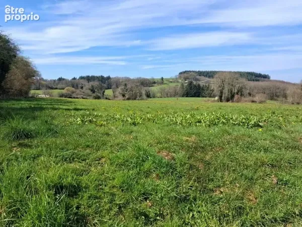 Terrain 1 508 m² à vendre à Neuvic-Entier (87130)