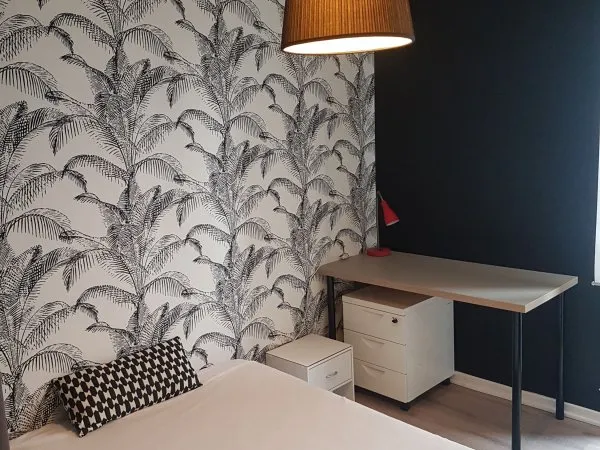 Loue appartement en colocation - 100m²