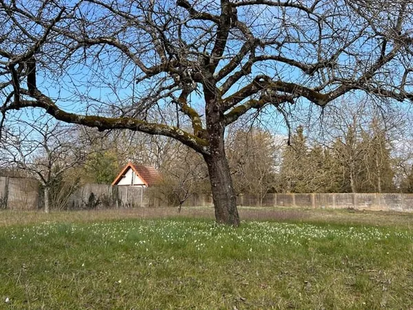 Terrain 944 m²
