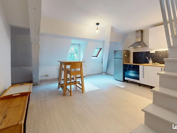 Duplex 1 pièce 24 m²