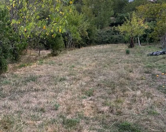 jardin à vendre