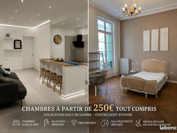 🏡 colocation centre saint-étienne - grandes chambres de 30 m² avec salle d'eau privative - 400 cc