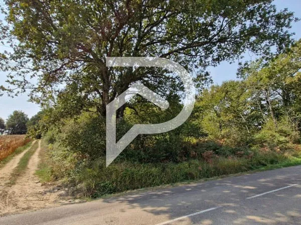 Terrain 15575 m²