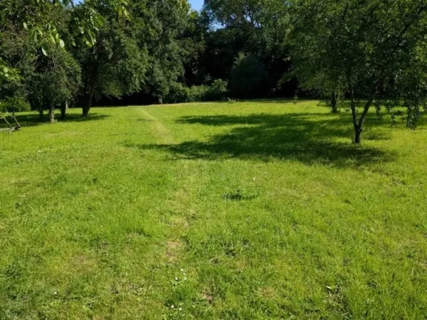 Terrain 356 m²