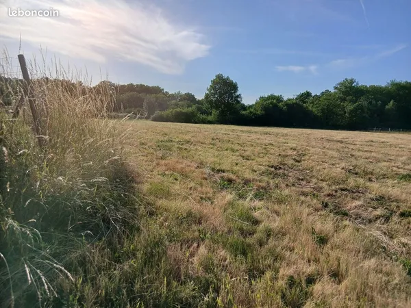 Terrain constructible
