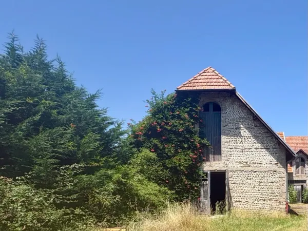 Propriété 7 pièces 184 m²