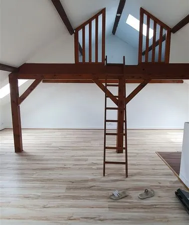 Loft combles 38 m2 + mezzanine libre - Juvisy