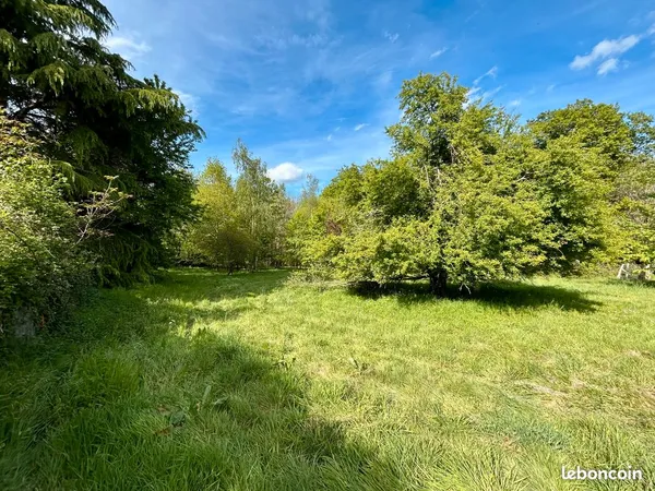 Terrain constructible en lisière de forêt